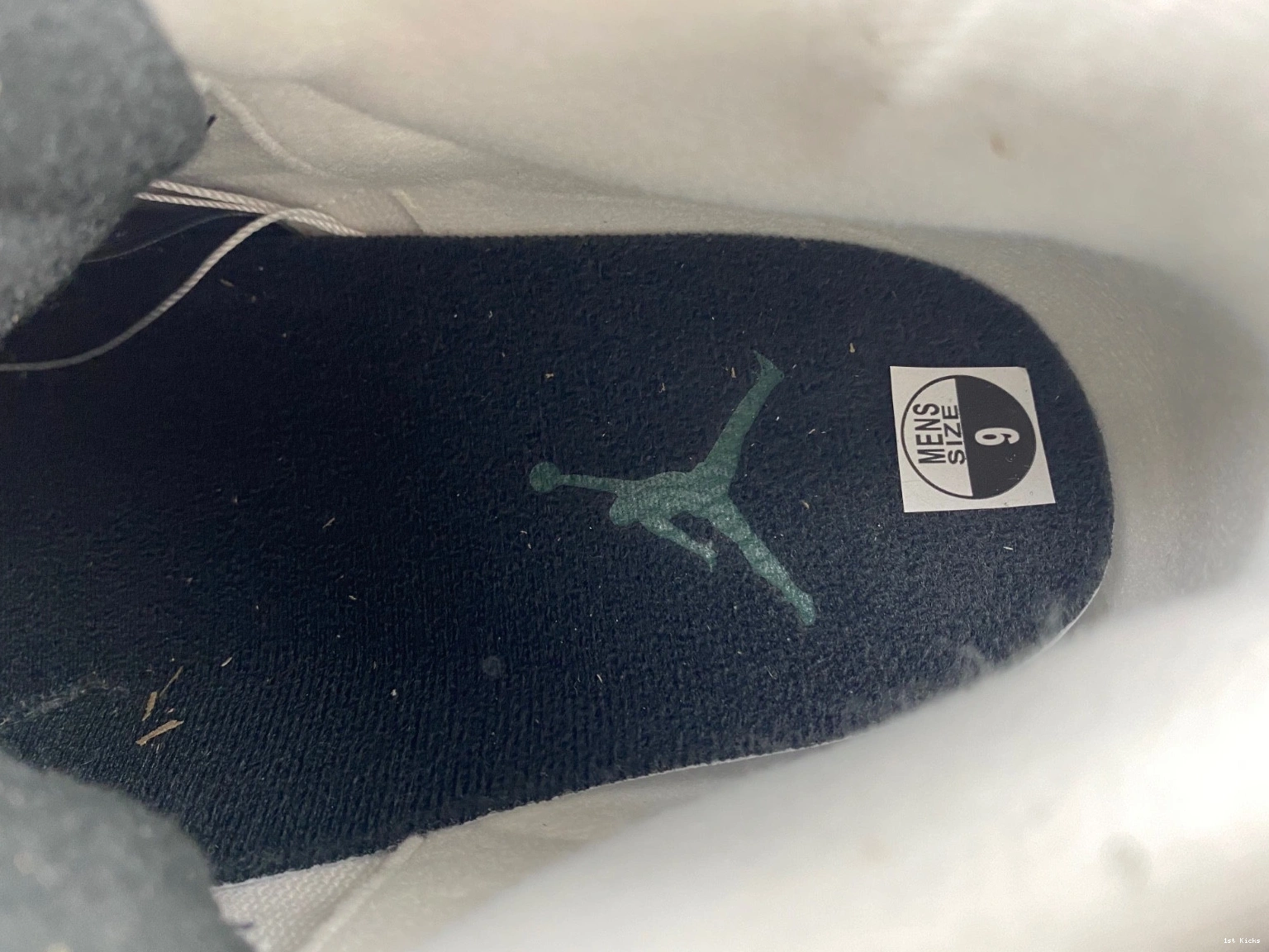 594282233 Retro  3 Ducks White Crew Oregon Jordan Pit 0114